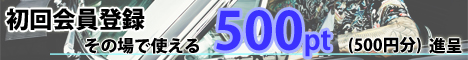 Ȥ500ptץ쥼